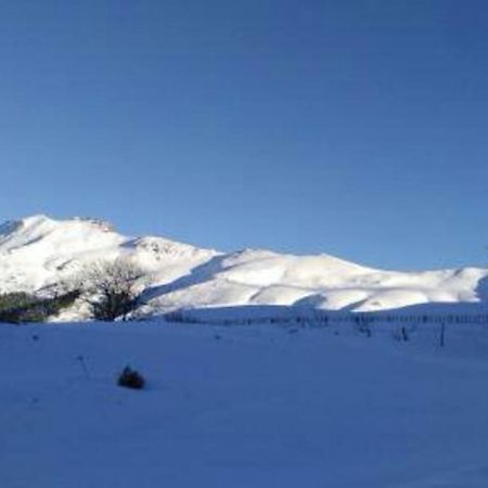 Les Marmottes Arpajon-sur-Cere Exterior foto